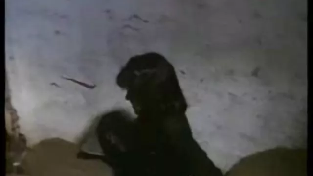 بهترین جوانان, رابطه جنسی بدون ثبت نام Karen2 عکس سکس گروه