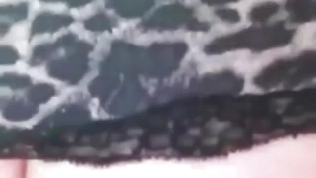 بهترین جوانان, رابطه جنسی بدون ثبت نام می خواهید برای عکس سکسی بد دانلود در قفس